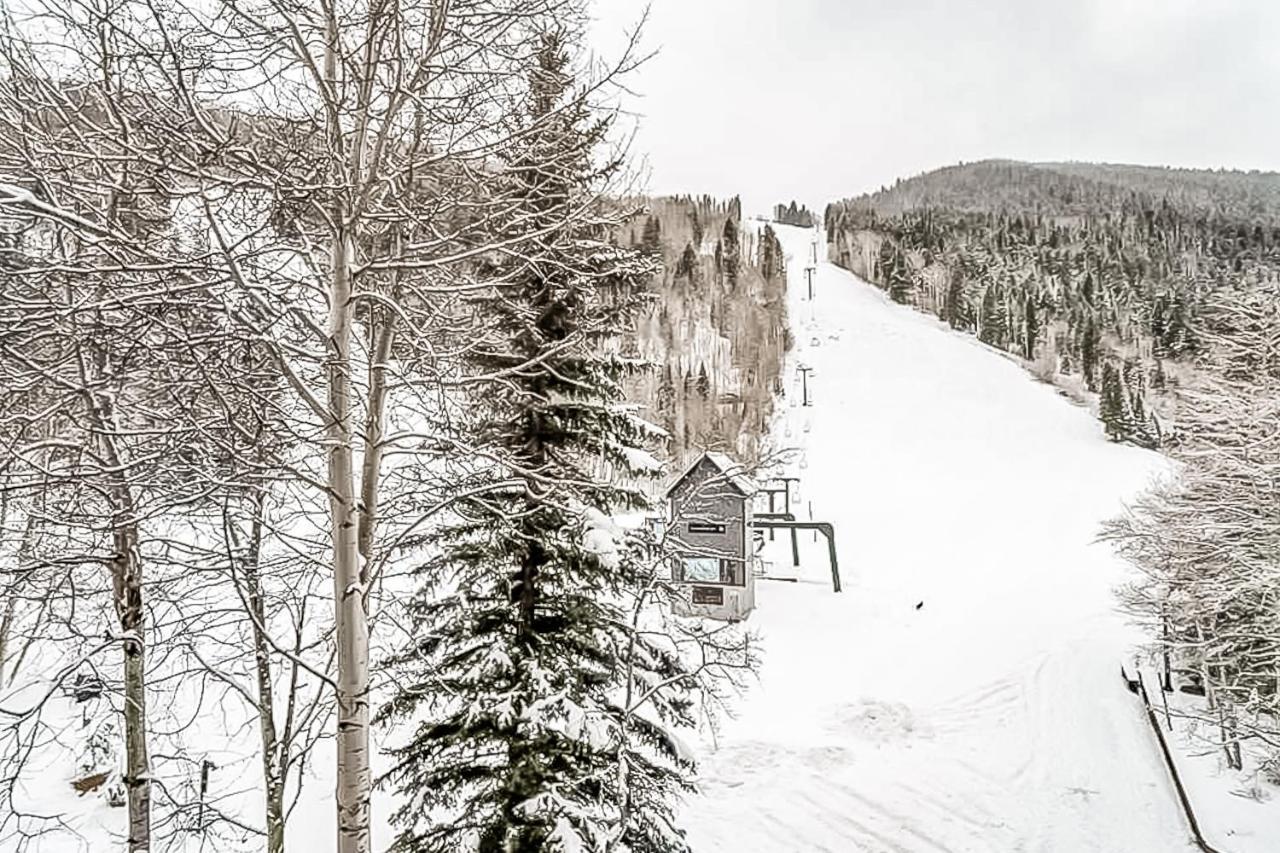 Misty Maiden Διαμέρισμα Telluride Εξωτερικό φωτογραφία
